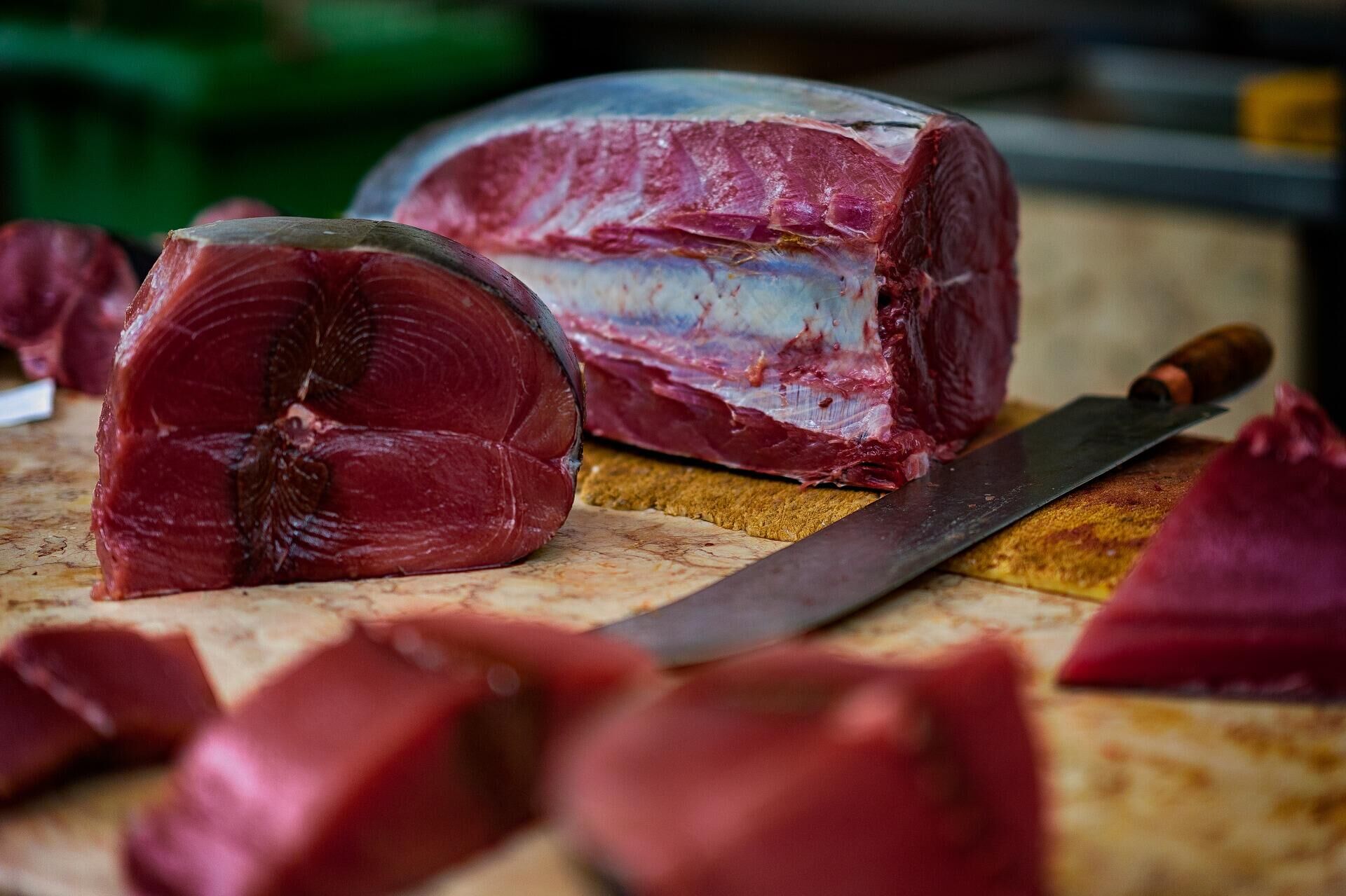 Тунец Тунец - РИА Новости, 1920, 20.10.2021